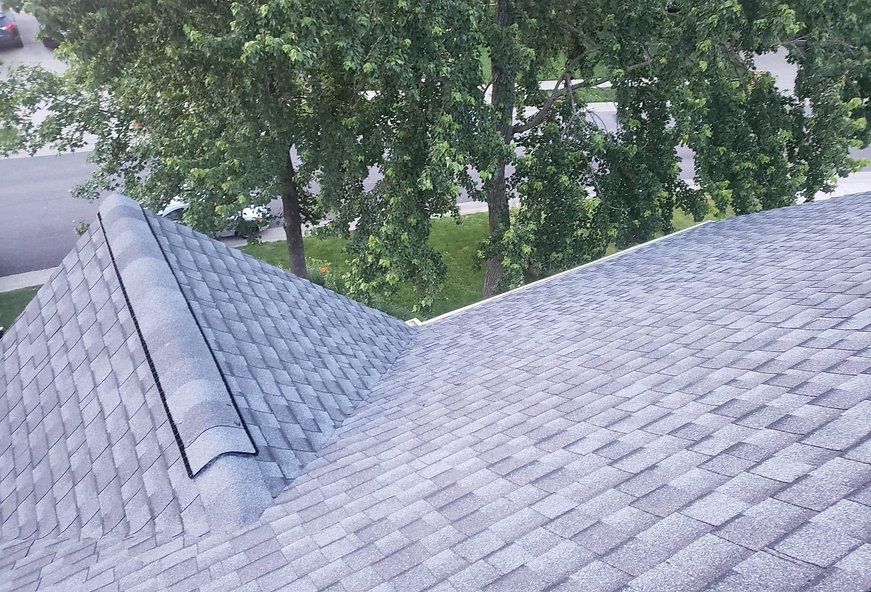 Overhead view of a gray asphalt shingle roof with a tree in the background.