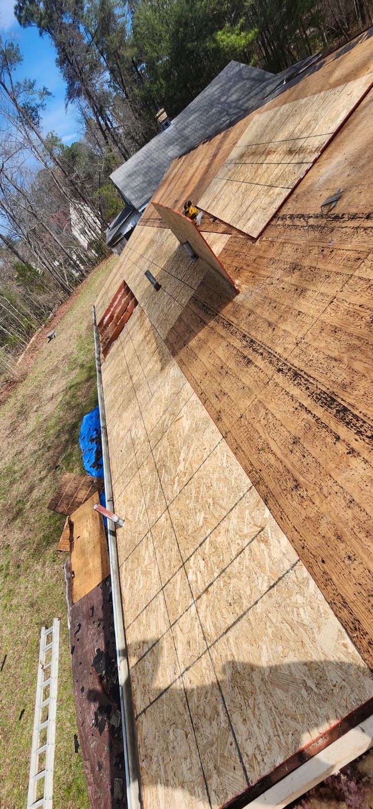 Roof partially covered with plywood. A ladder is positioned on the side, near a blue tarp.