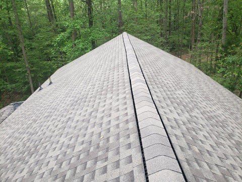 Gray shingle roof, angled view down the ridgeline, forest background.