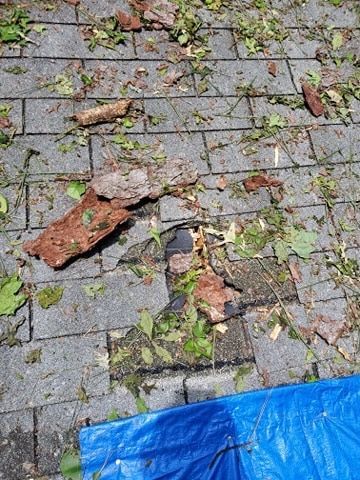 Roof damage with debris, dark shingles, blue tarp.