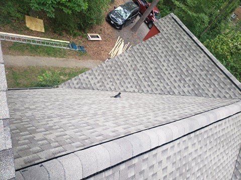 View from above of a gray shingled roof with a small bird perched on it; cars and trees in the background.