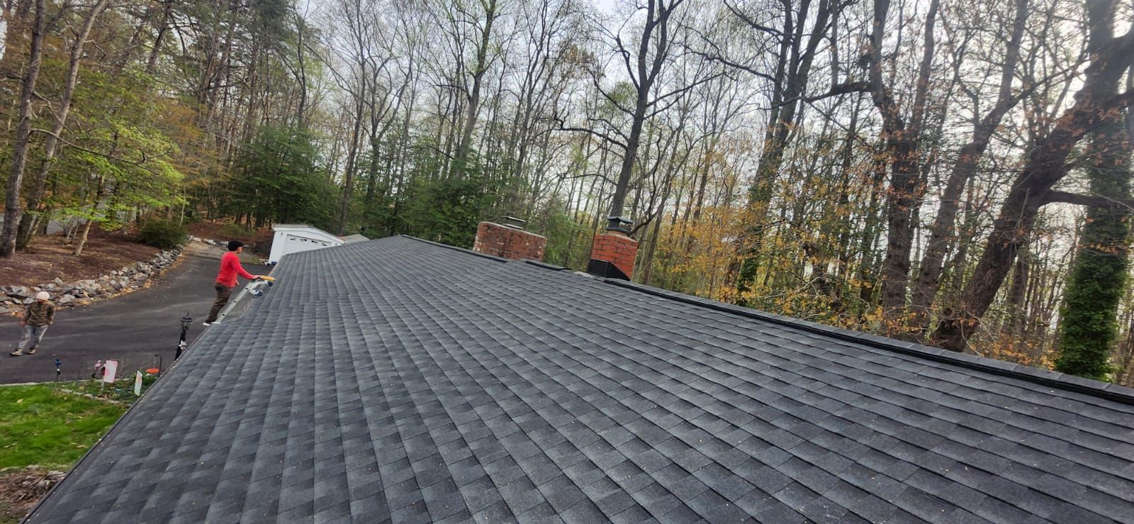 A roof with dark shingles, a person in red, and a dog on a driveway, surrounded by trees.