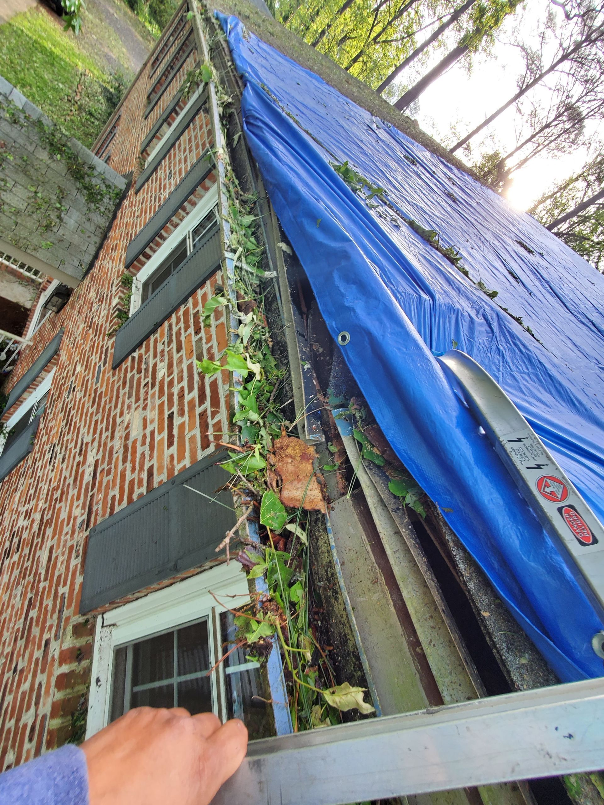 A blue tarp covers a roof corner, partially covering a brick building; leaves and vines present.