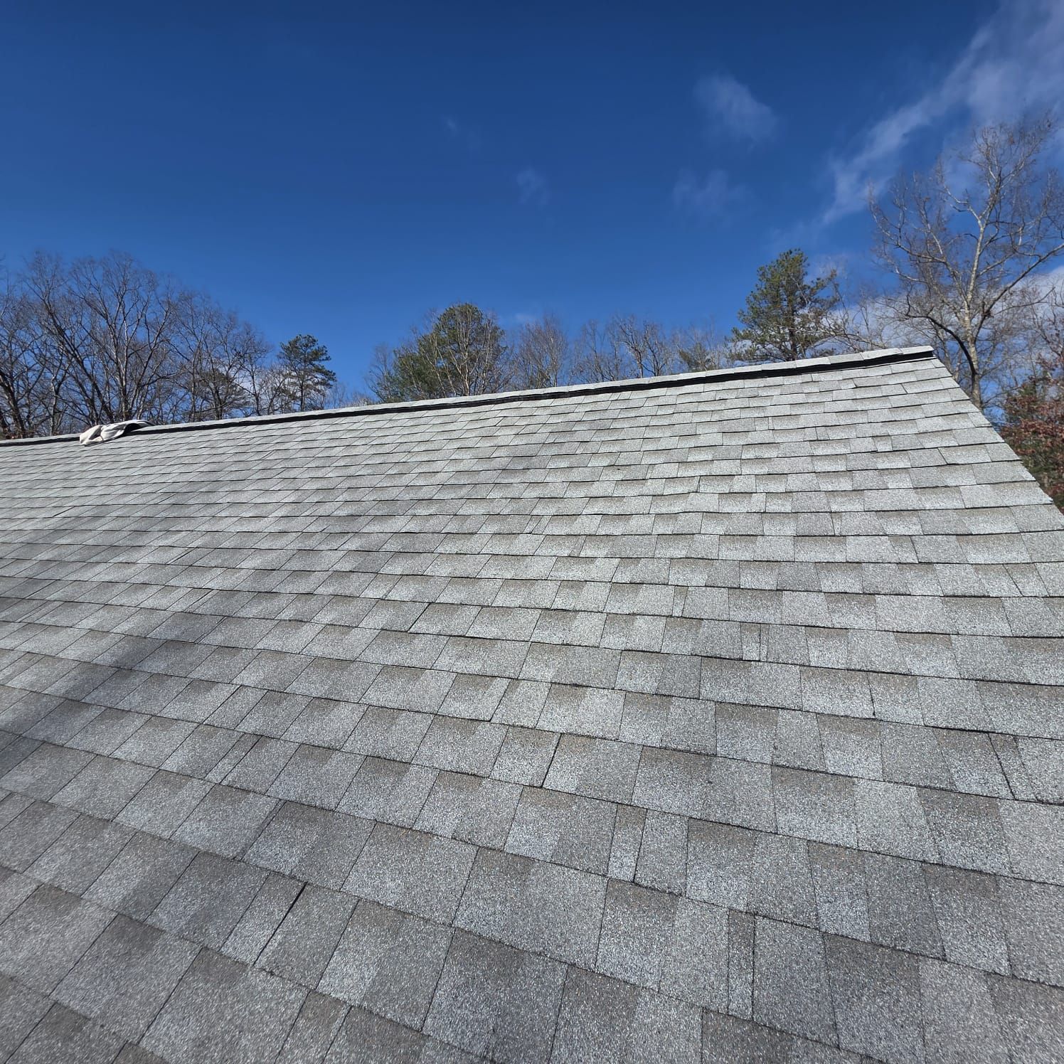 Gray asphalt shingle roof against a bright blue sky with treetops in the background.