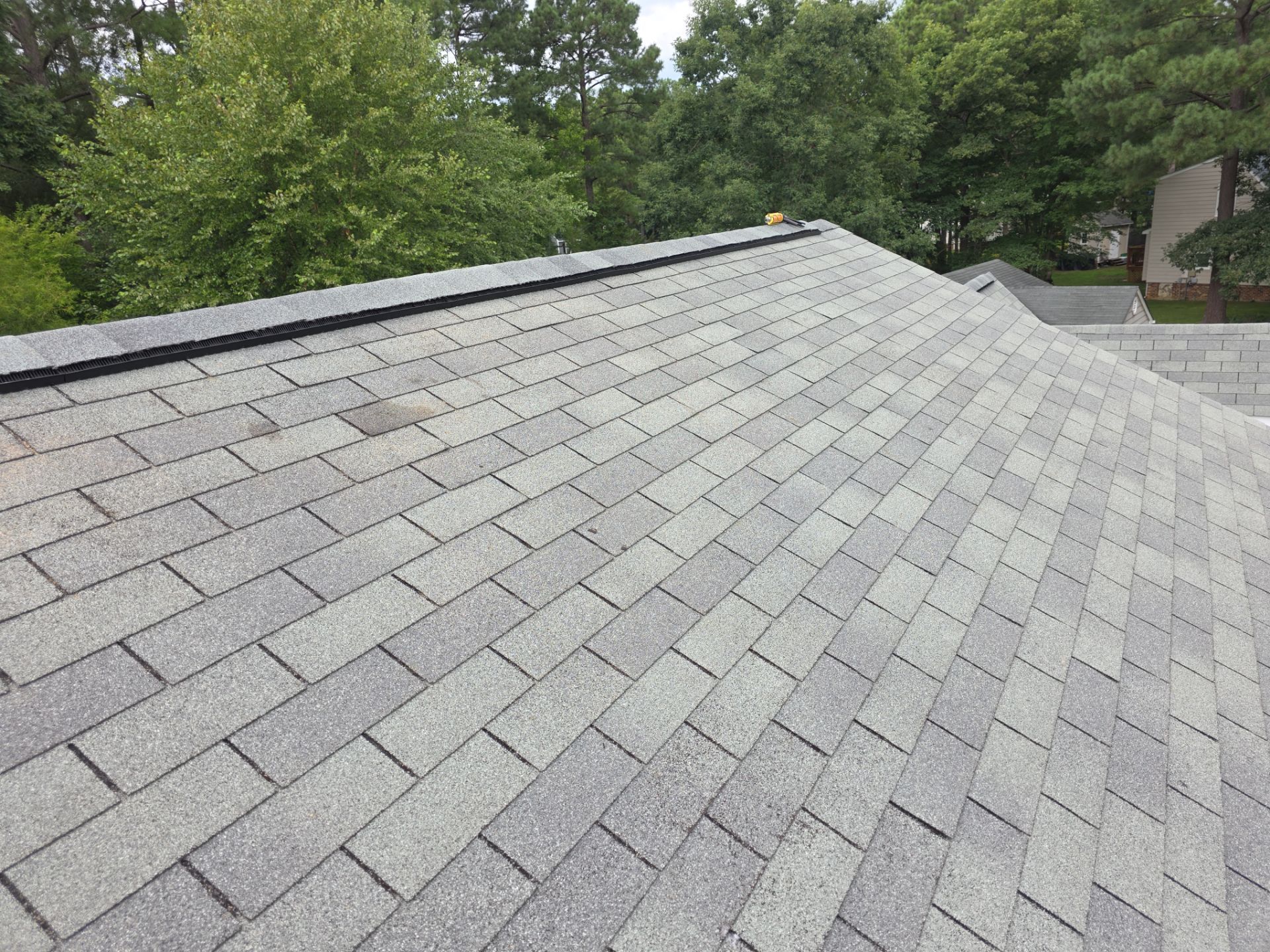 Gray shingled roof with tree-lined background under daylight