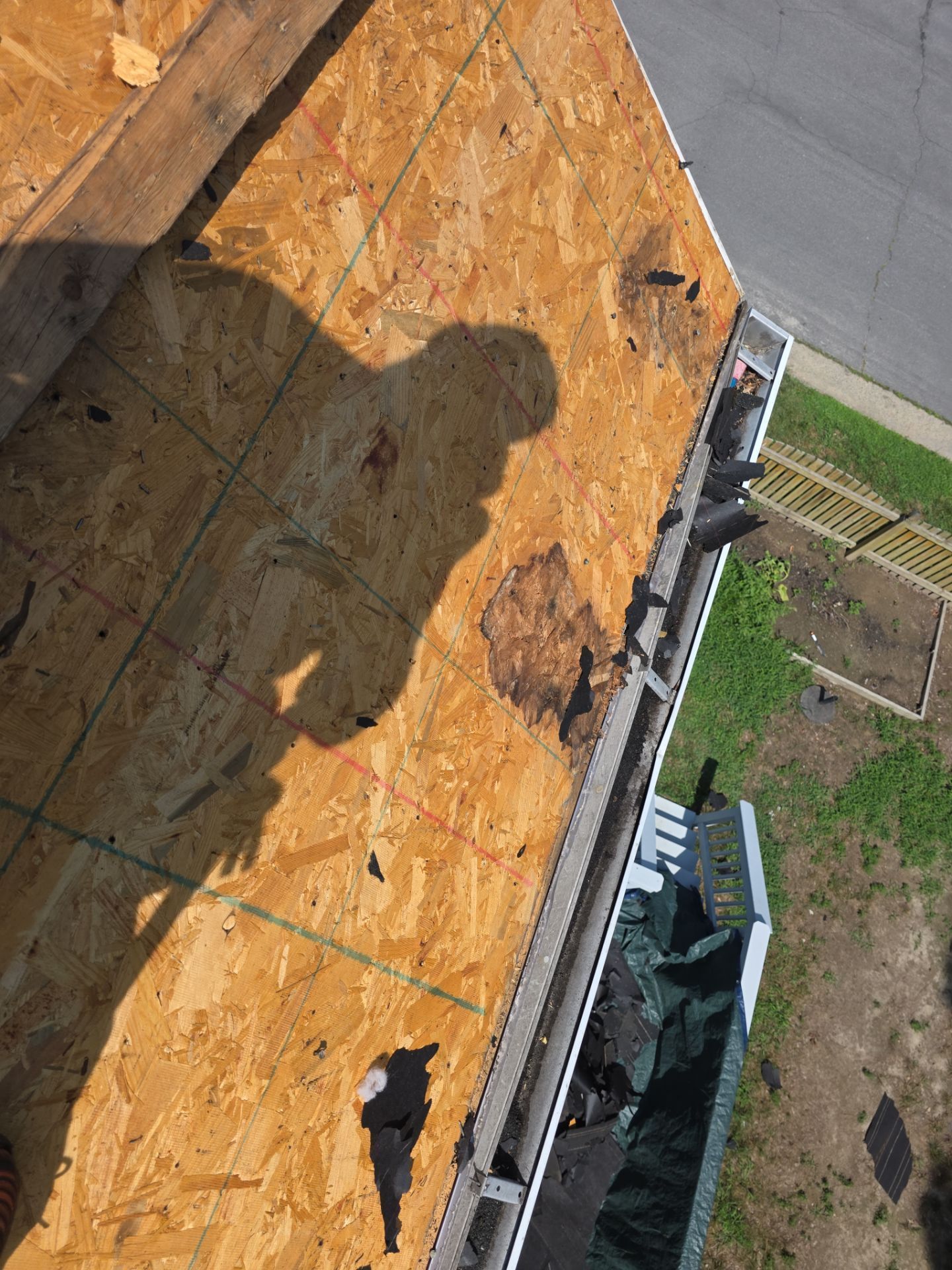 Person’s shadow on a plywood rooftop near the edge, with a yard visible below.