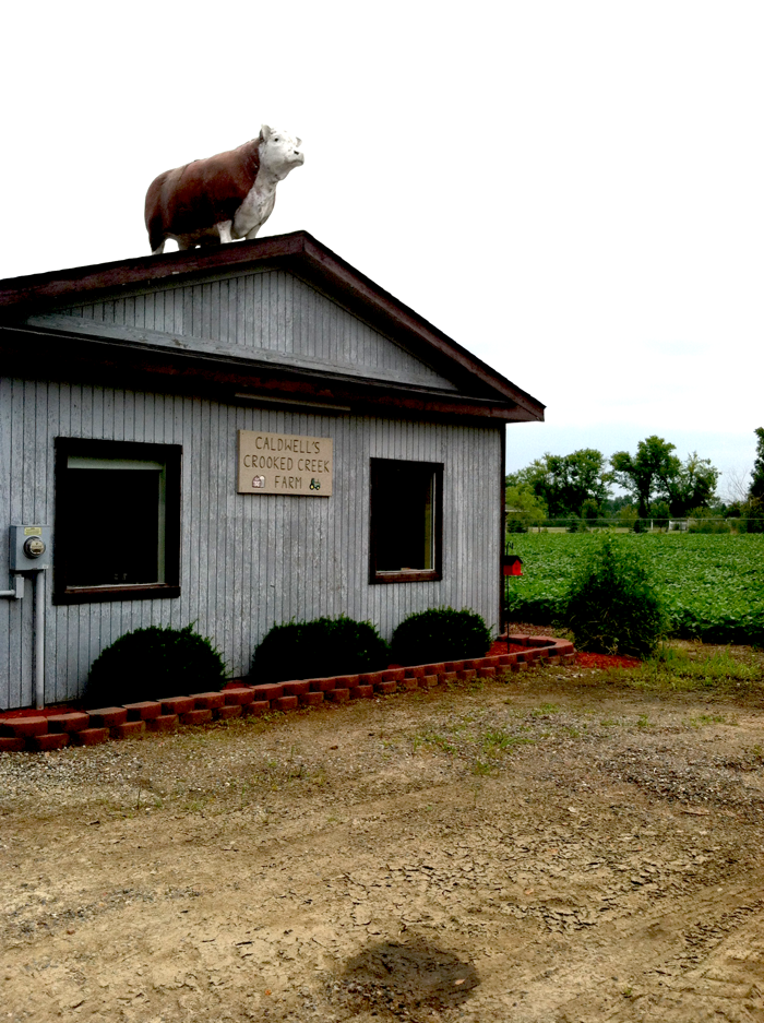 Caldwell's Crooked Creek Farm