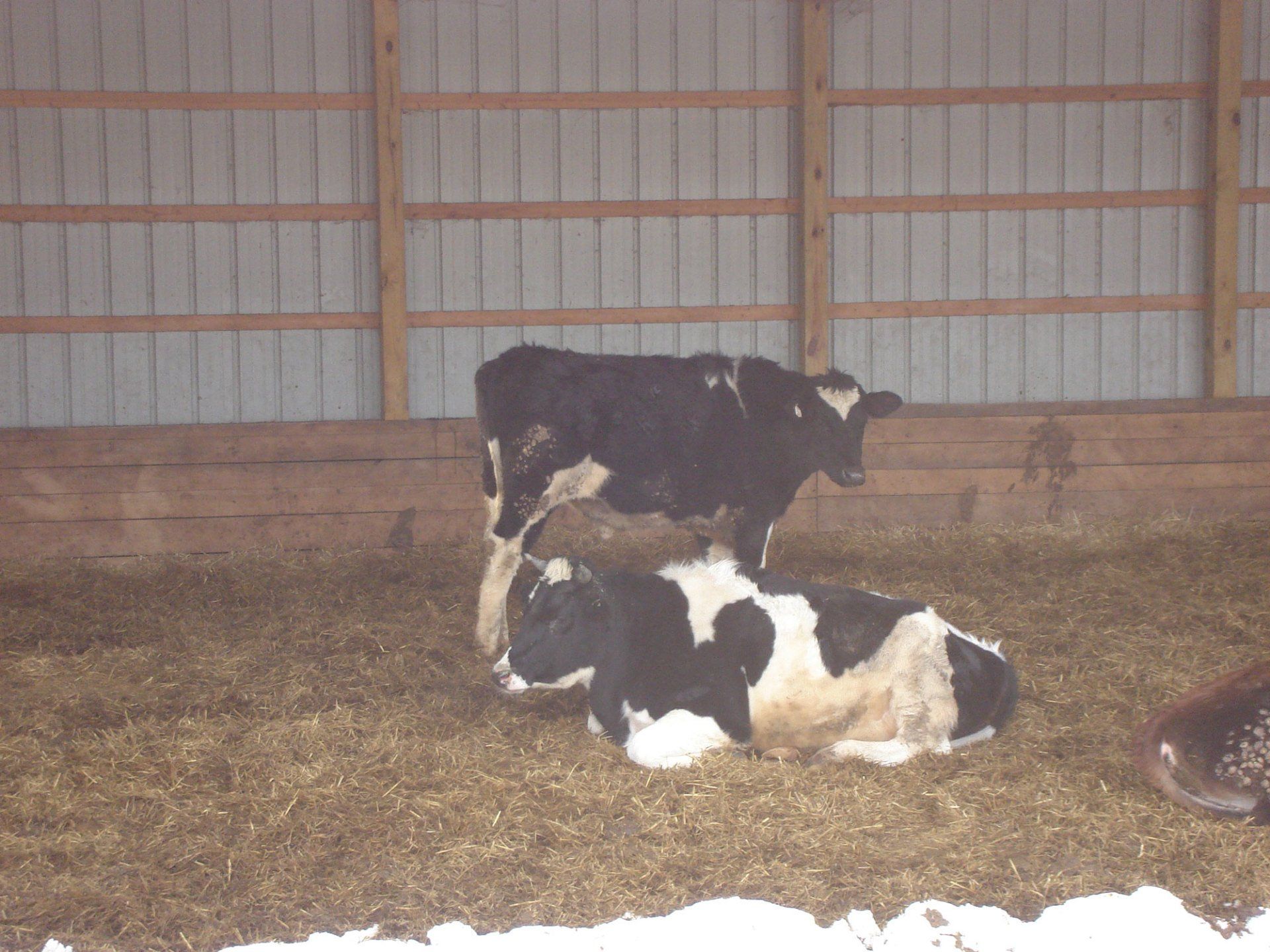 Caldwell's Crooked Creek Farm