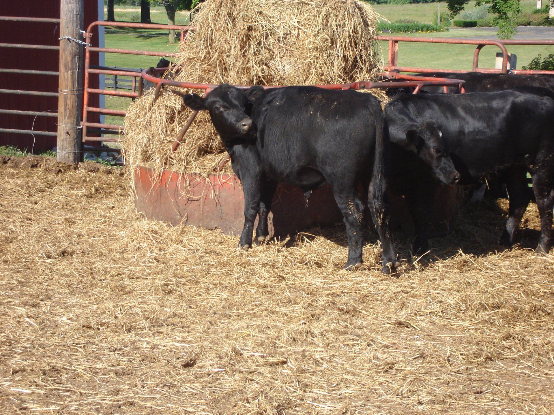 Caldwell's Crooked Creek Farm