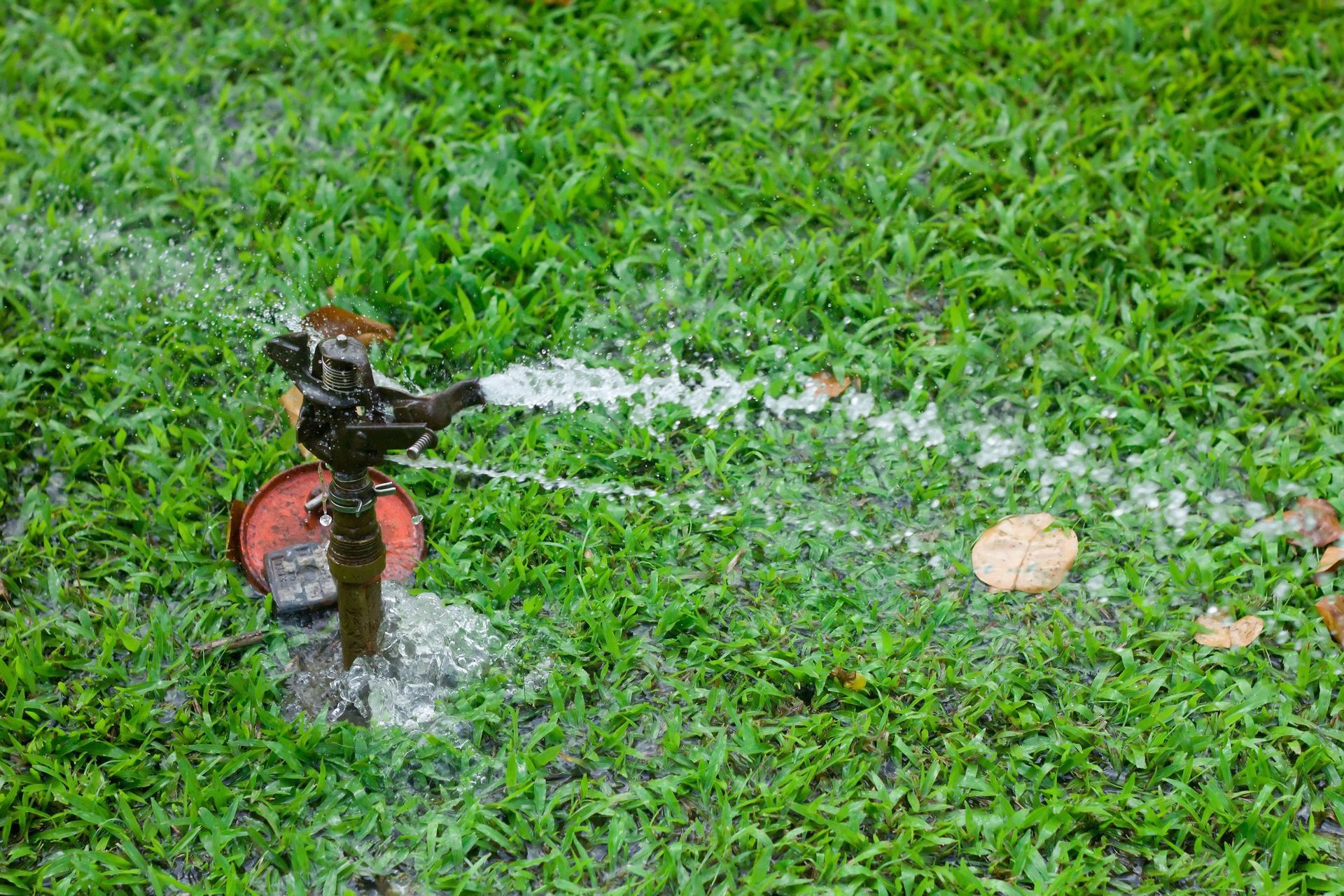 a sprinkler spraying water on a lush green lawn