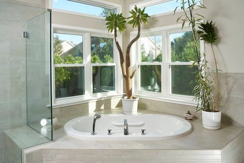 A bathroom with a tub and a plant in it