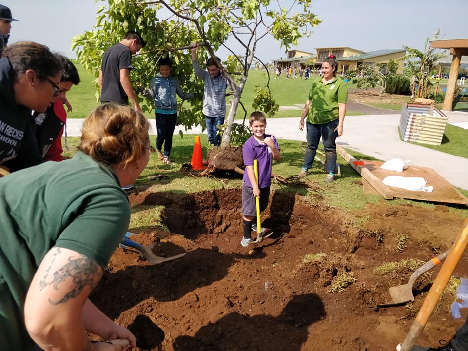 Mother Earth Tree Service Photo Gallery