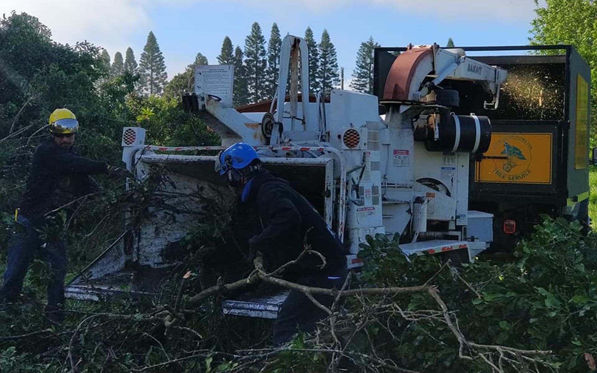 Tree chipping