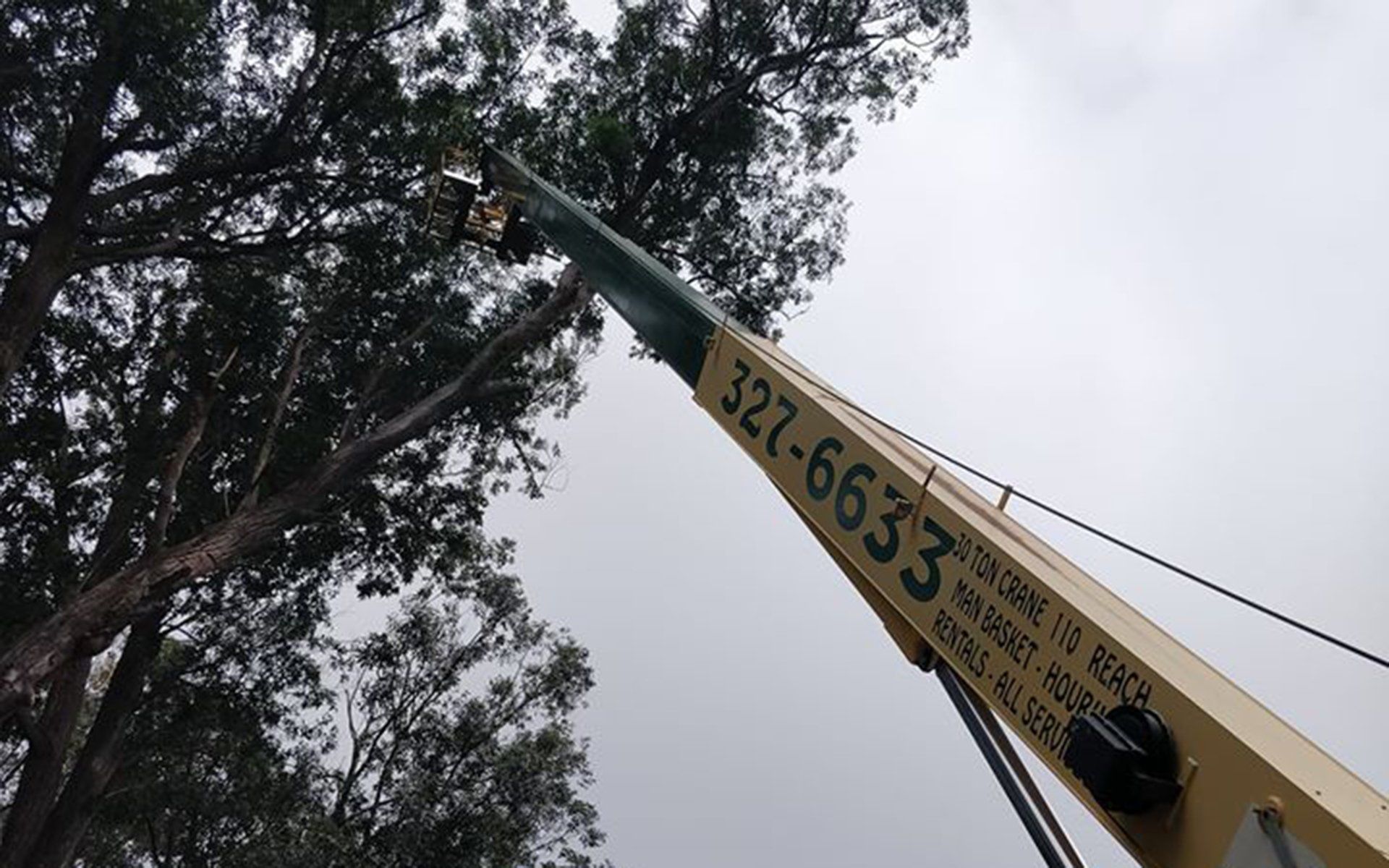 Aerial cranes
