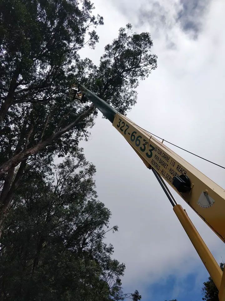 A yellow crane with the number 322-6633 on it