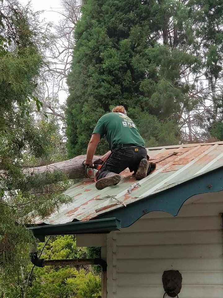 A man is kneeling on the roof of a house cutting a tree branch.