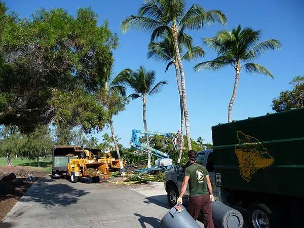 A man in a green shirt is carrying a large cylinder