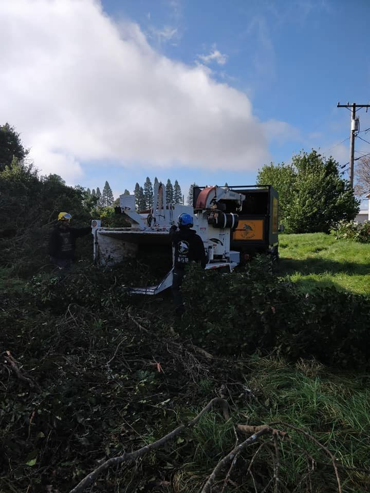 A man is working on a machine that is cutting branches in a field.