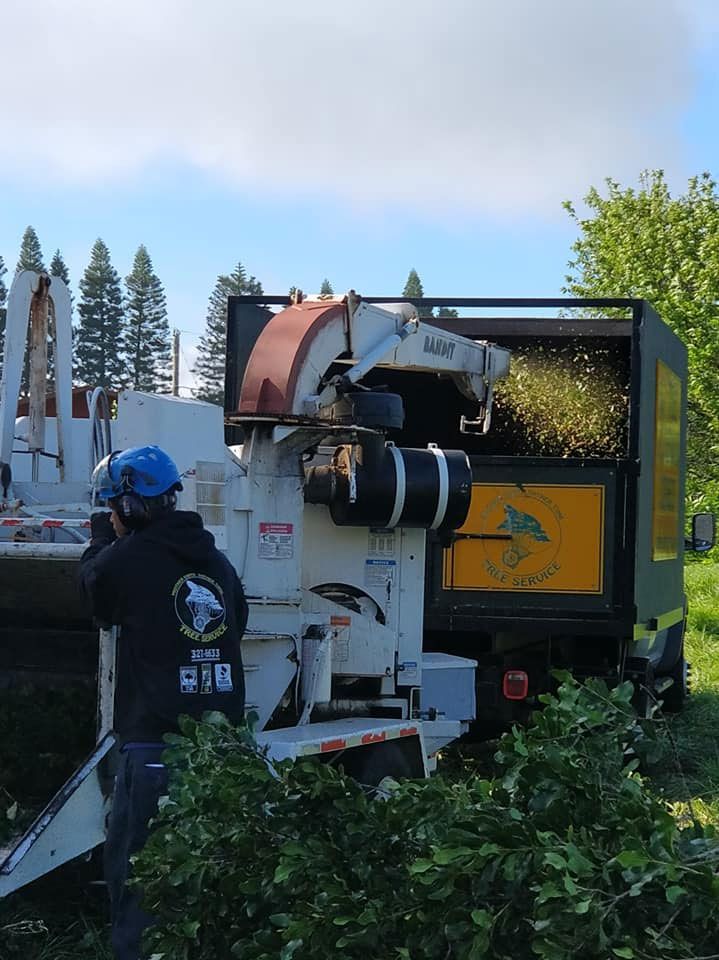 A man wearing a blue hard hat is standing next to a tree chipper.