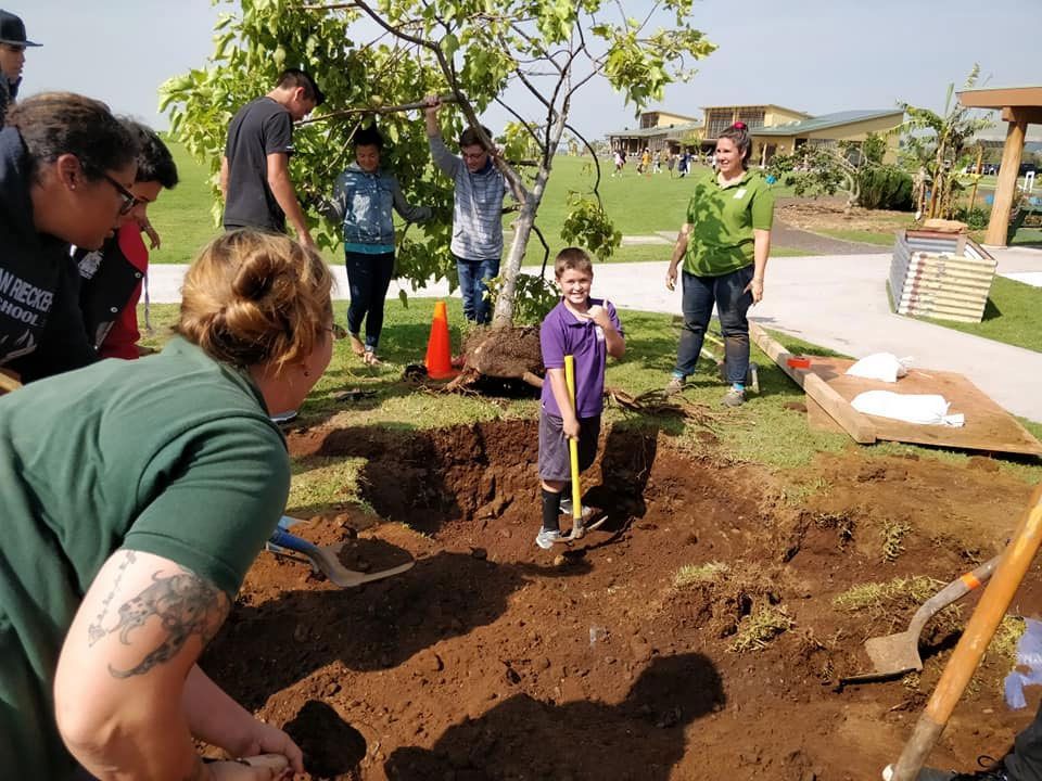 A group of people are digging a hole for a tree.