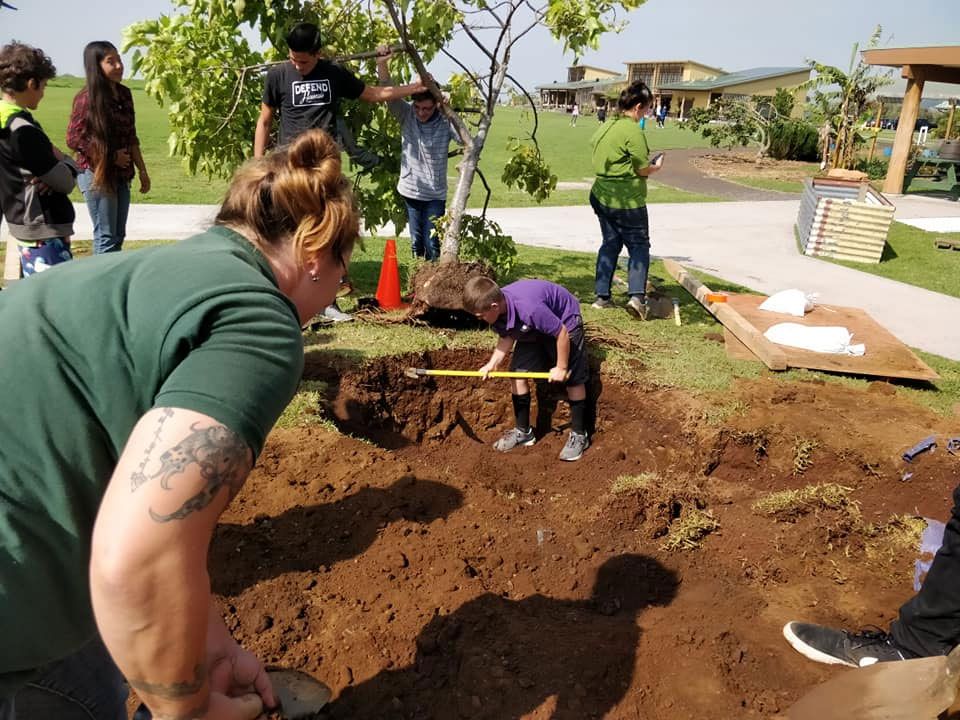 A group of people are digging in the dirt