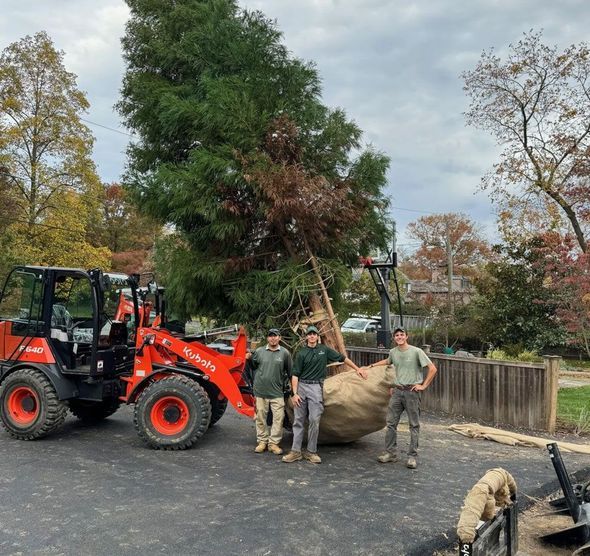 Three landscapers stand beside a tree held by a tractor on a paved driveway.