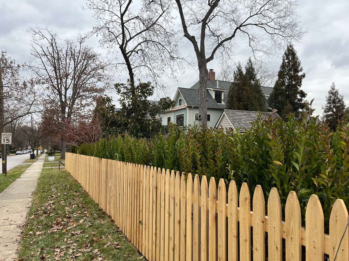 Wooden picket fence along a sidewalk with bare trees, green bushes, and a house in the background.