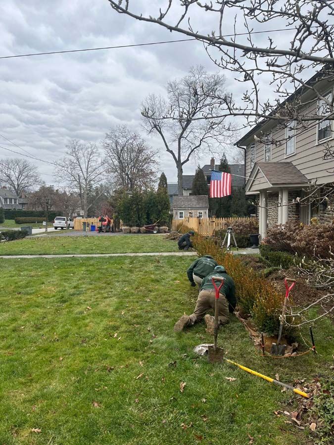 Men planting bushes in a front yard on a cloudy day, near a house with an American flag.