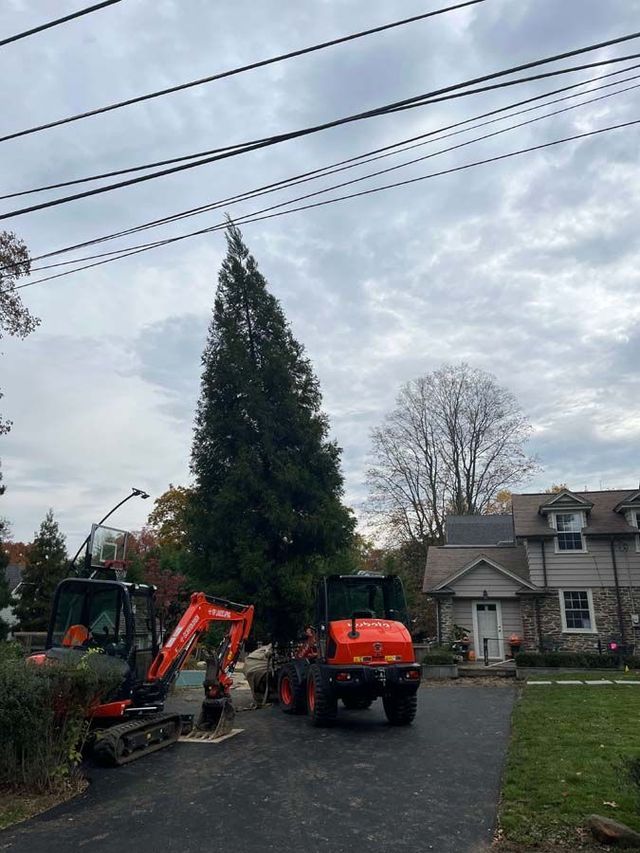 Construction equipment and workers on a paved driveway near a tall tree and a house on a cloudy day.
