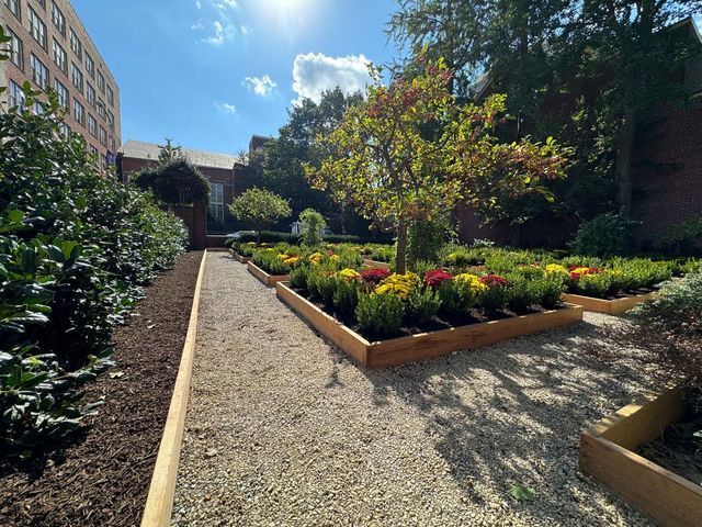 Stone path through a sunny garden with flower beds and a small tree. Buildings border the garden.