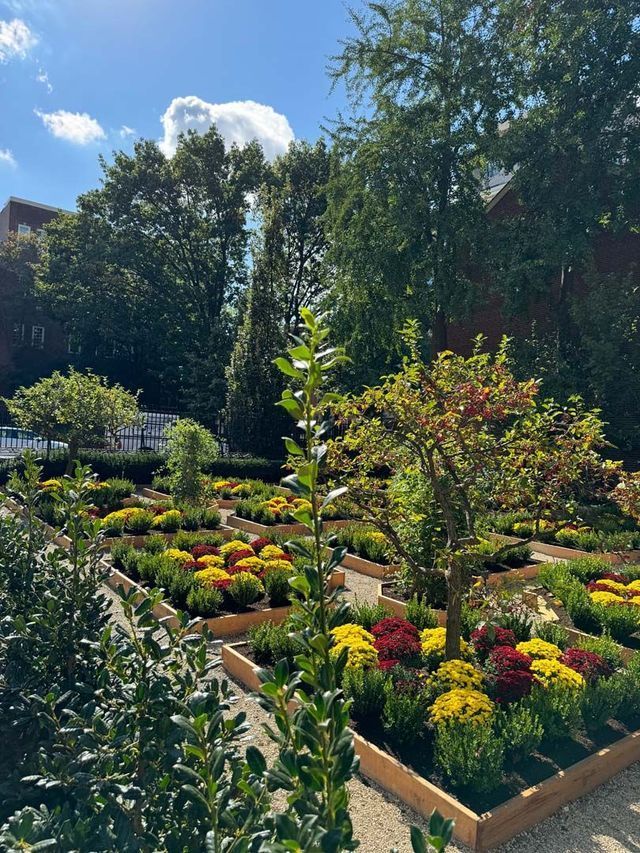 A sunny garden with colorful flowers in raised beds, framed by green trees under a blue sky.