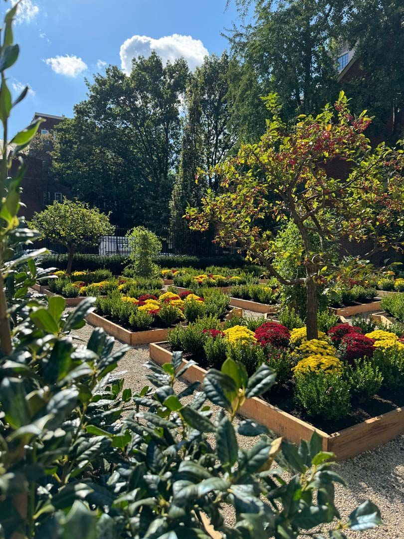 Lush garden with colorful flowers in raised beds, trees, and a bright blue sky.