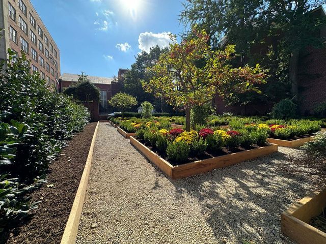 Garden with raised beds, gravel path, and colorful flowers. Trees and a brick building in the background.