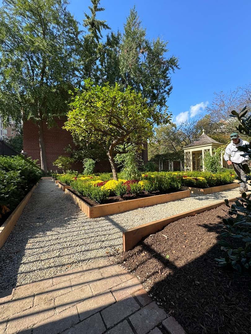 Garden with path, flowerbeds, tree, and gazebo under a blue sky.