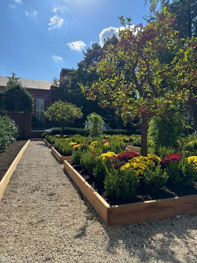 Gravel pathway through a tiered garden with green shrubs, colorful flowers, and a tree on a sunny day.