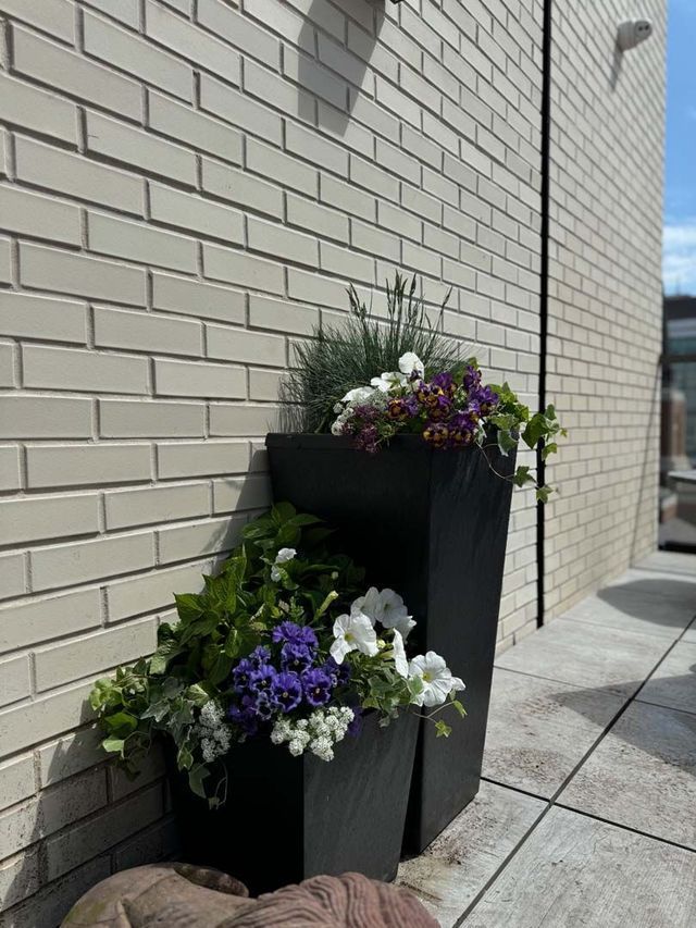 Black planters with colorful flowers sit against a light brick wall on a rooftop.