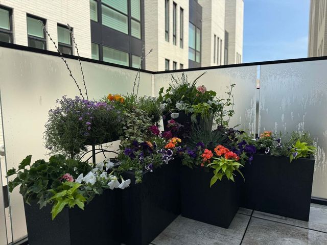 Black planters overflowing with colorful flowers on a rooftop patio, against a frosted glass barrier.