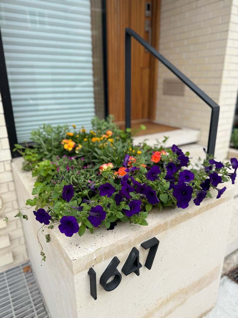 Stone planter with purple and orange flowers; black house number 1647. Black railing.