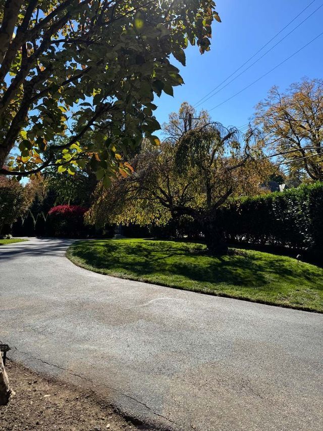 Asphalt driveway curves through lush green lawn and trees under a clear blue sky.
