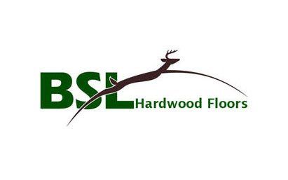 BSL Logo