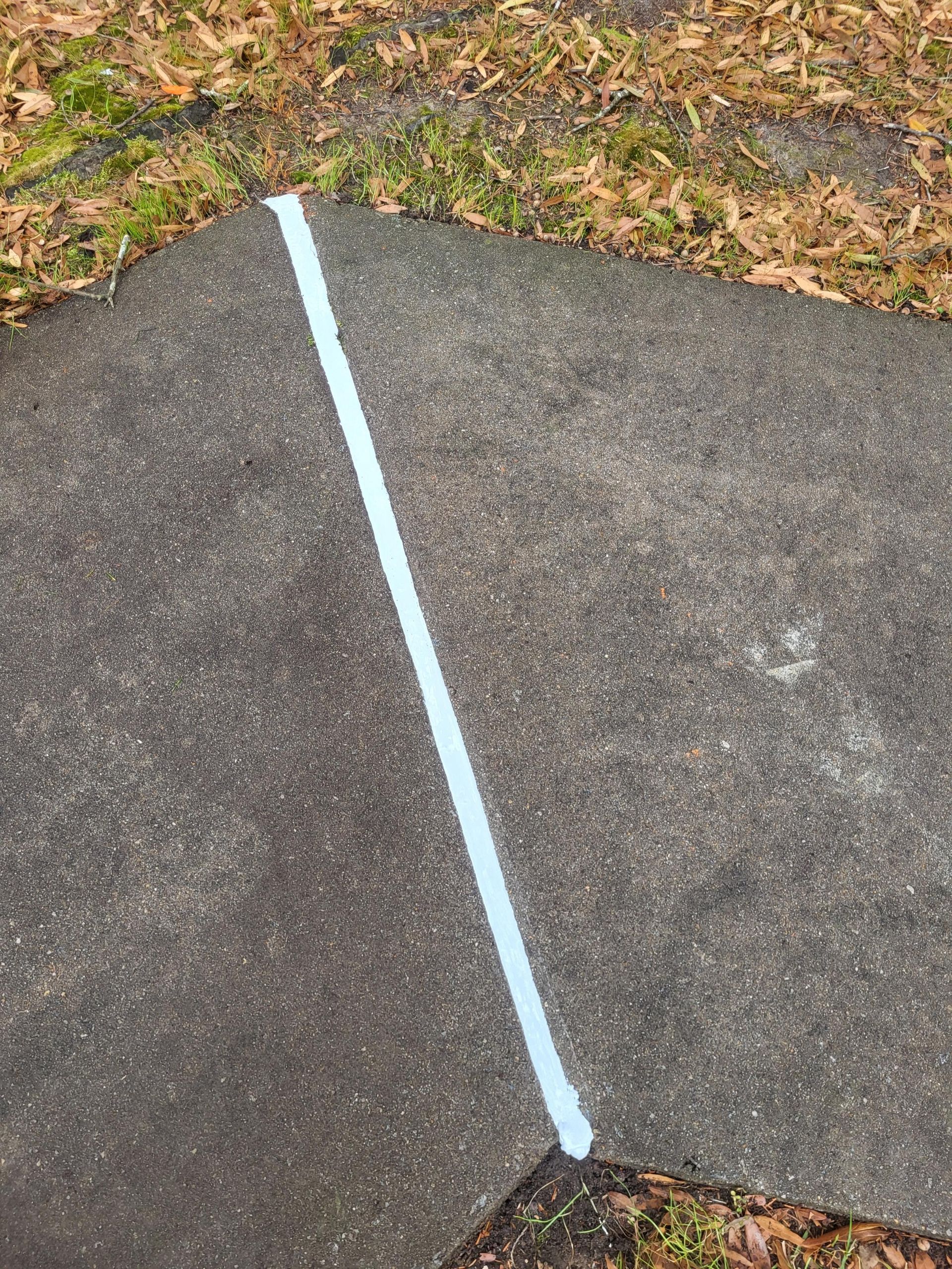 A white line is painted on a concrete sidewalk.