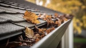 A gutter filled with leaves on the roof of a house.