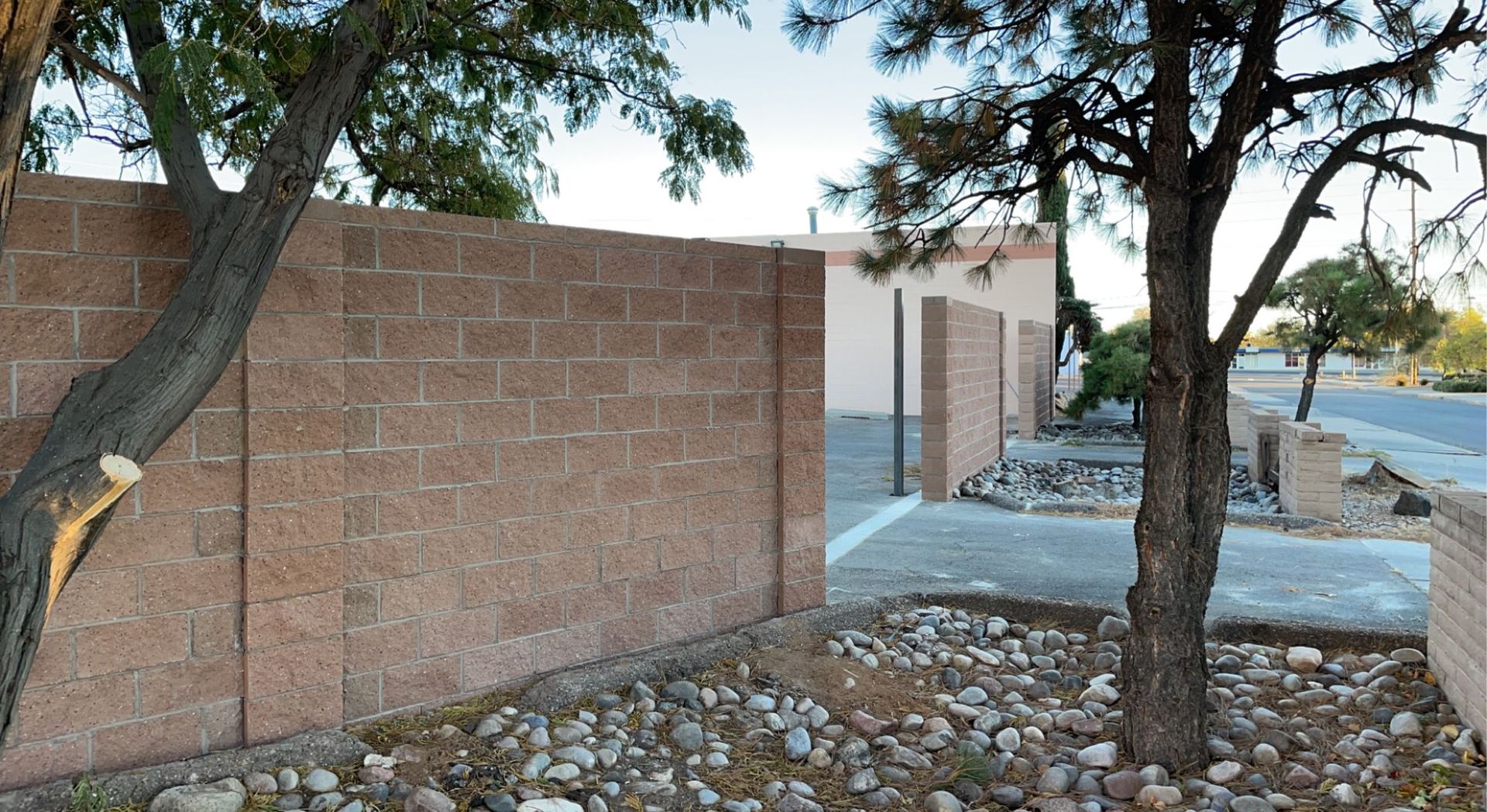 A brick wall with a tree in front of it