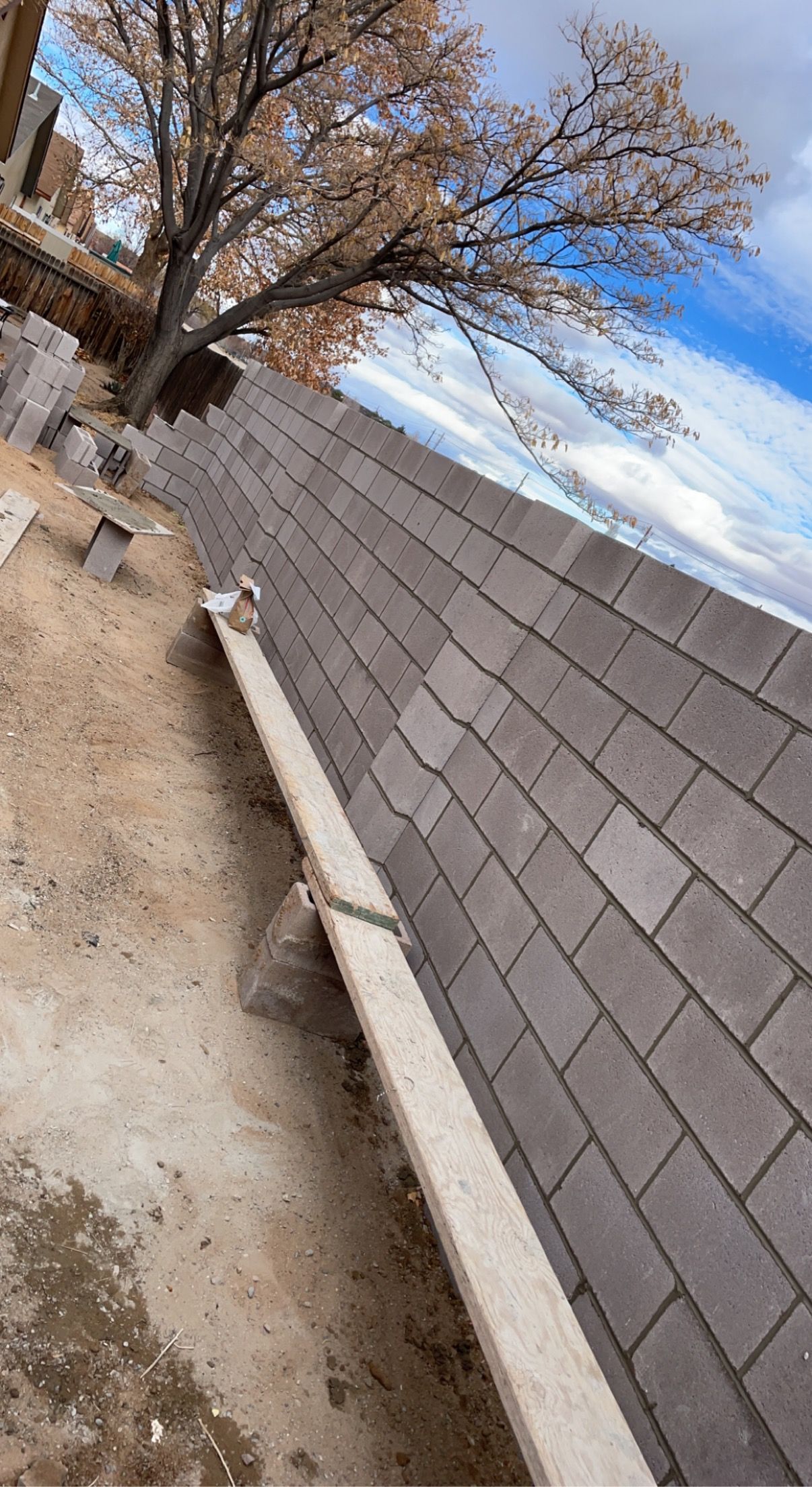 A bench is sitting next to a brick wall with a tree in the background.