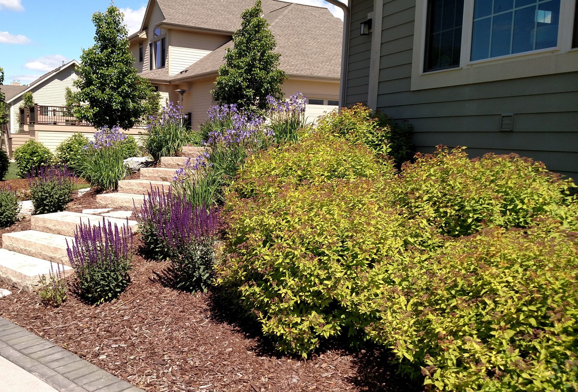 Stone steps lead up to a house, flanked by bushes and purple and green flowers, on a sunny day.
