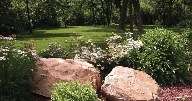 Lush garden with large rocks, white and green plants, and green lawn leading to a forest.