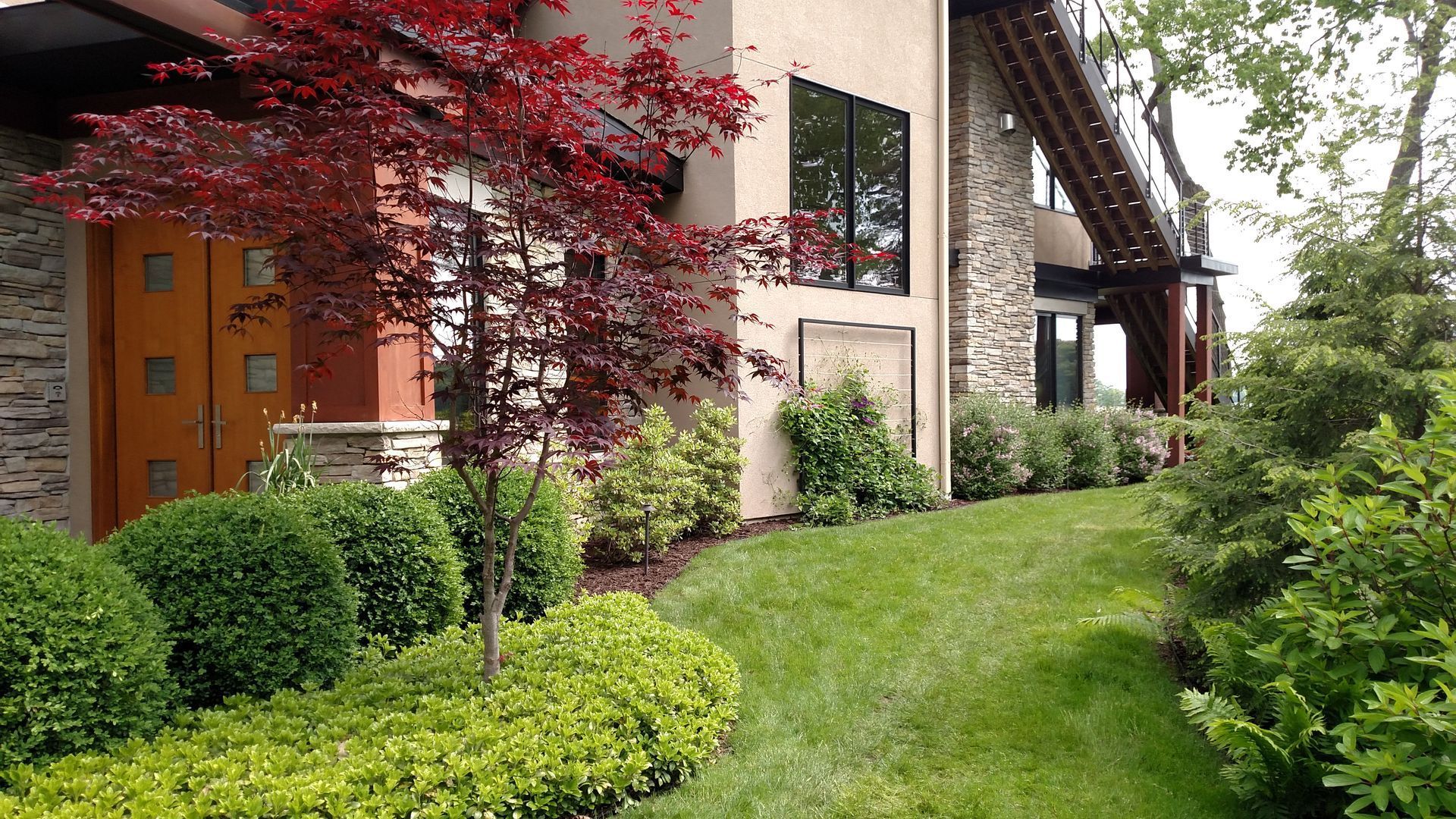 A modern house with manicured landscaping: red Japanese maple, green shrubs, and a grassy lawn.