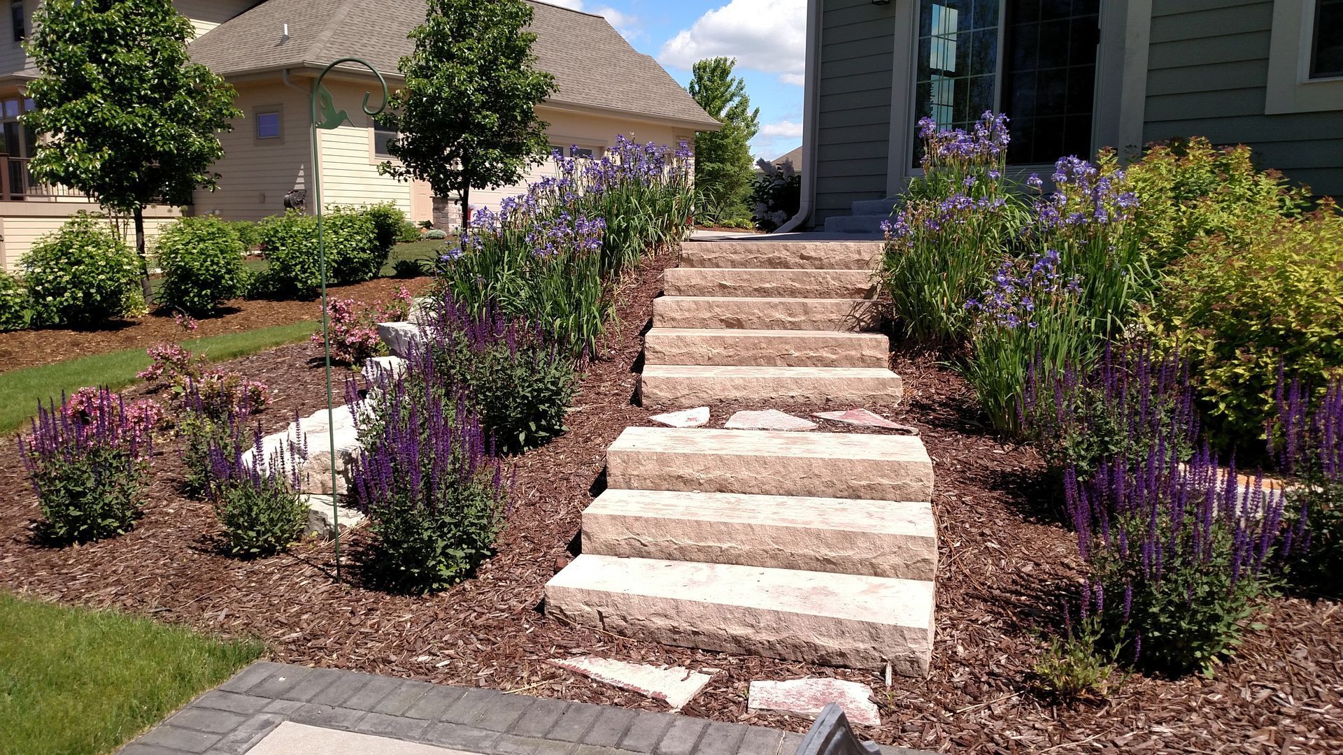 Stone steps leading up to a house, surrounded by purple flowers and mulch. Sunny day.