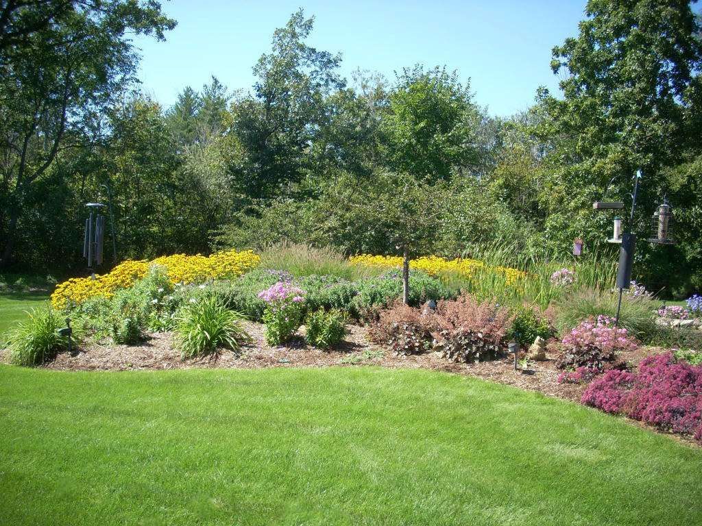 Flower garden with yellow, purple, and red blooms, green grass, and trees in the background under a blue sky.