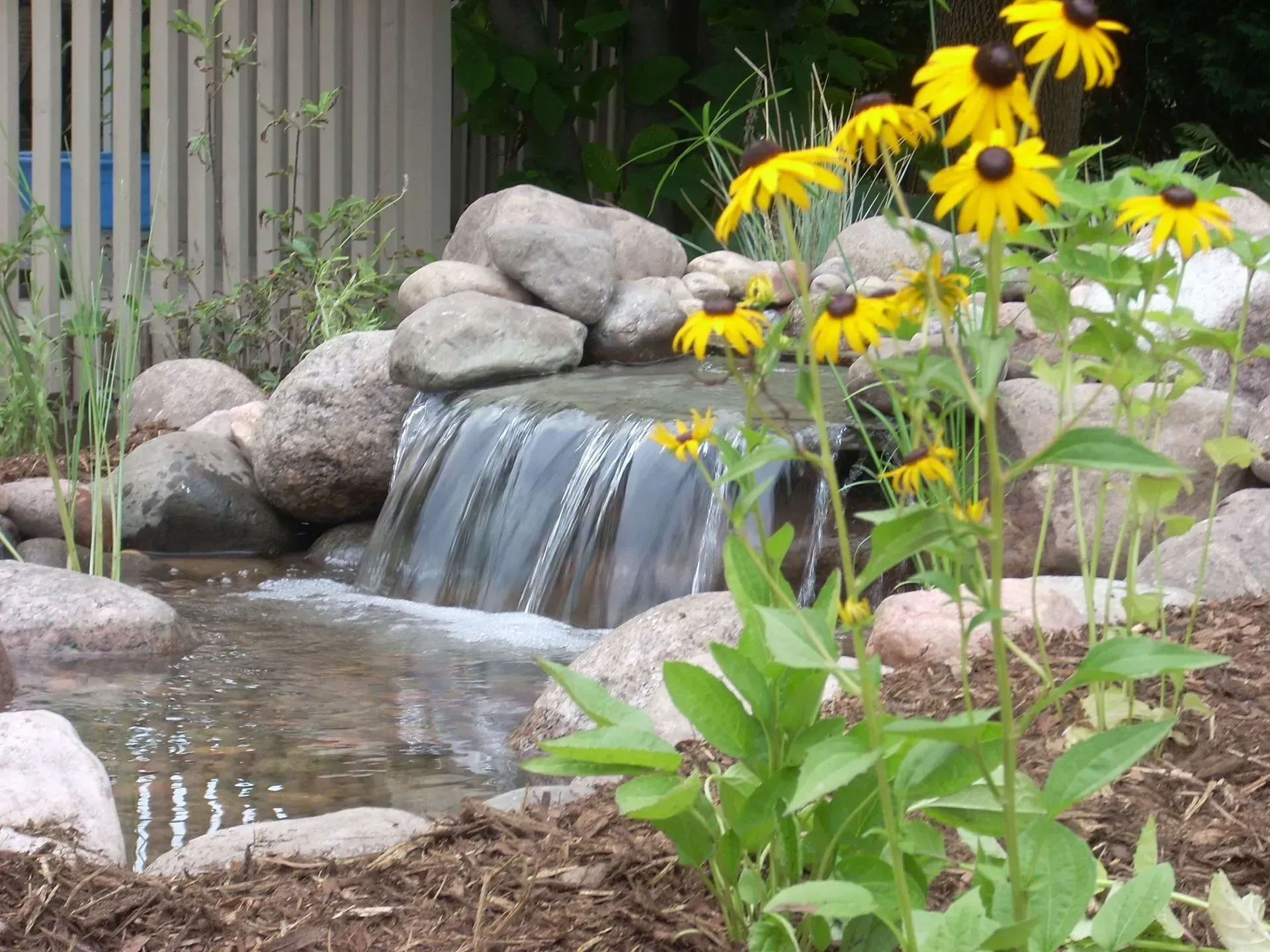 A small waterfall flows into a pond, with yellow black-eyed susan flowers in the foreground.